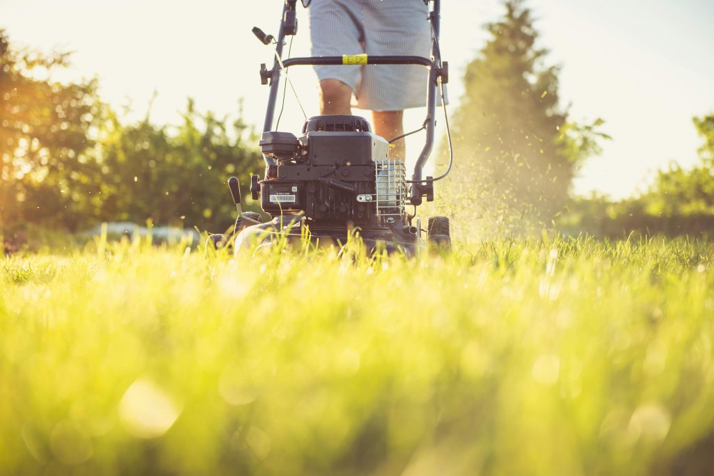 A Person Cutting Grass With a Lawn Mower